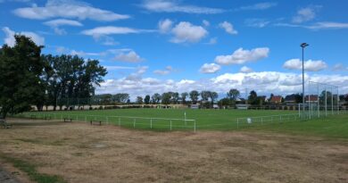 Schiedsrichter im Amateurfußball